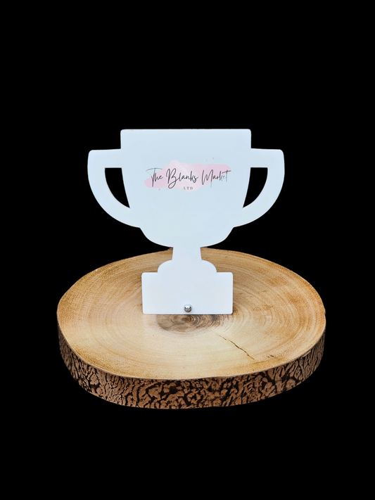 Acrylic Trophy with Pin Stand