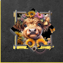 Load image into Gallery viewer, 5 star coasters and box
