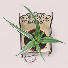 Load image into Gallery viewer, Decorative Plant Chair
